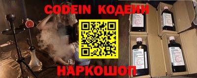 МДПВ Кингисепп