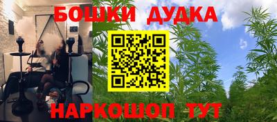 МДПВ Кингисепп