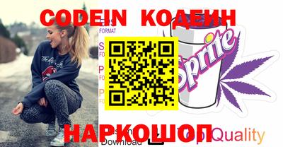 МДПВ Кингисепп