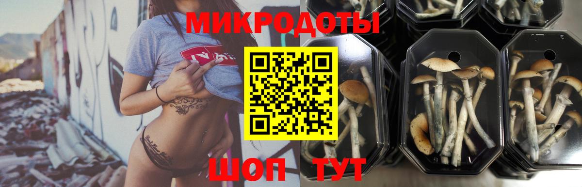 Кувандык  Галлюциногенные грибы Magic Shrooms  Вход с VPN 